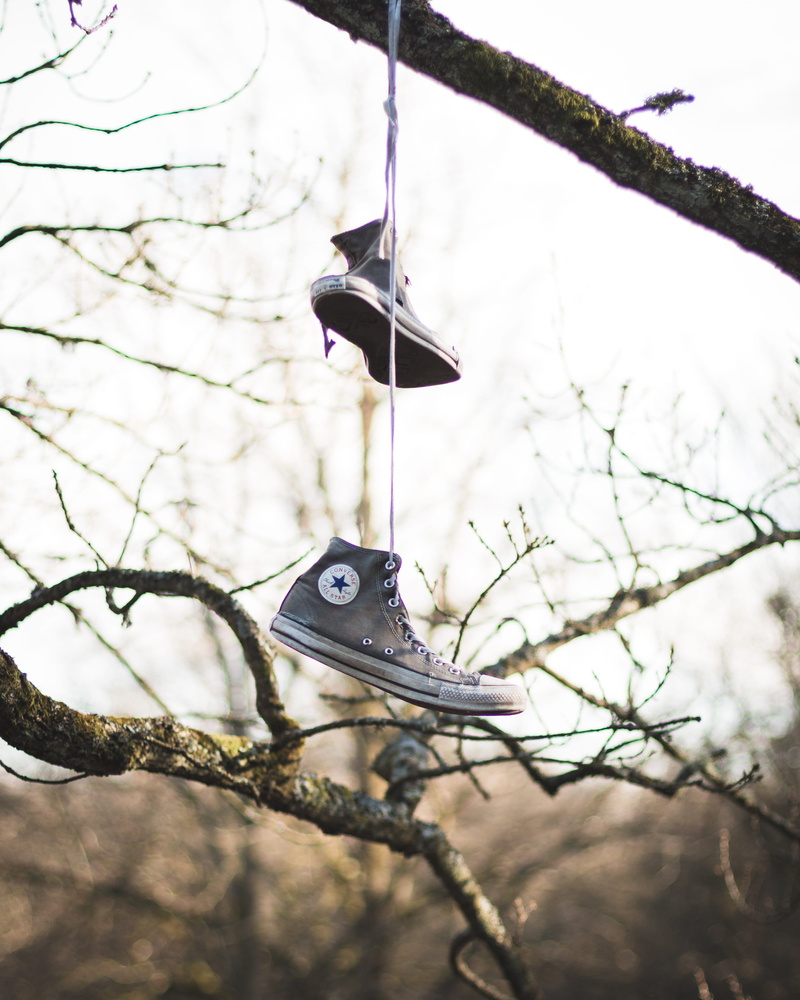 vertebrate, pair, focus on foreground, animal wildlife, boots, 4K, hanged, converse, tree, nature, top, animal, sky, outdoors, no people, star, tops, winter