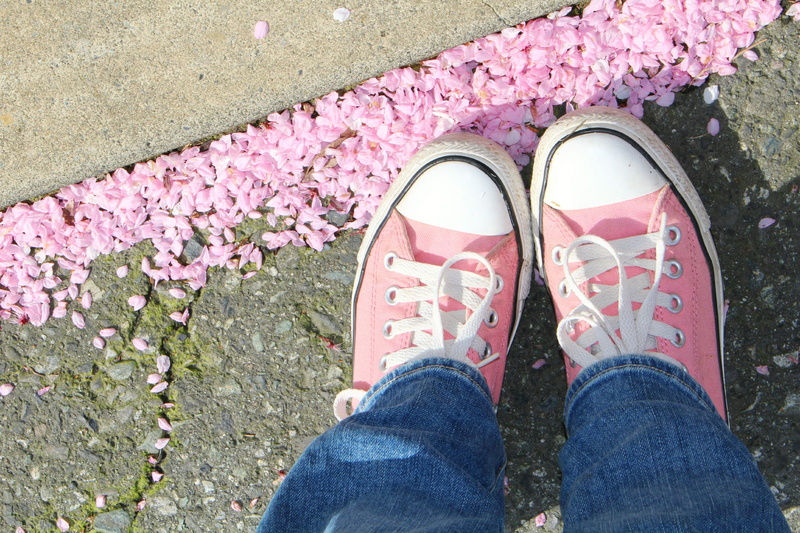 spring, lifestyles, chucks, flowering plant, human Leg, garden, pink color, standing, body part, pink, personal perspective, real people, Pair, jeans, people