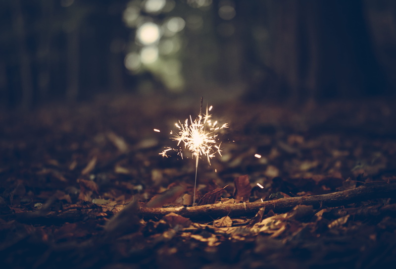 leaf, surrounded, field, focus on foreground, photo, woods, no people, fallen leafe, leaves, fragility, flower, forest, sparkle, firework, growth, ground