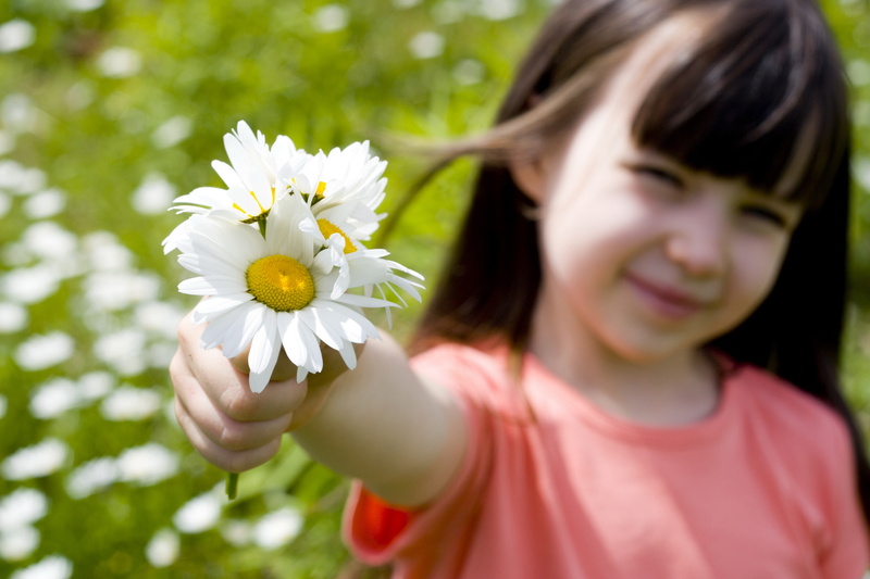 children, 4K, little girl, white flowers, daisies, flowers