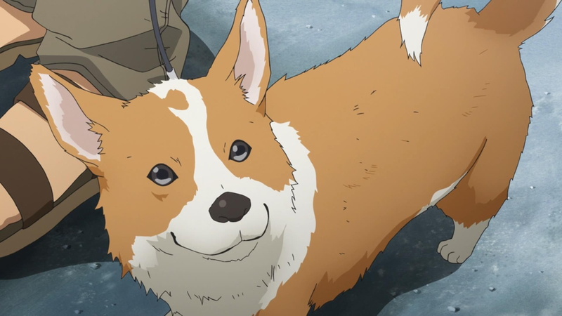 artwork, 1080P, animals, Corgi, dog