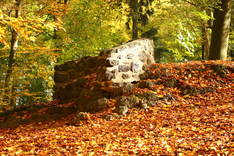 lush Foliage, plant, autumn, outdoors, Masonry, growth, fall, ludwigslust-parchim, masonry, tranquil Scene, field, Ruin, multi Colored, red, color Image
