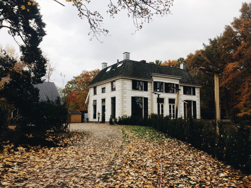 leaf, road, residential district, dirt road, tree trunk, gravel, architecture, the netherlands, change, ommen, building exterior, plant part, autumn, tree