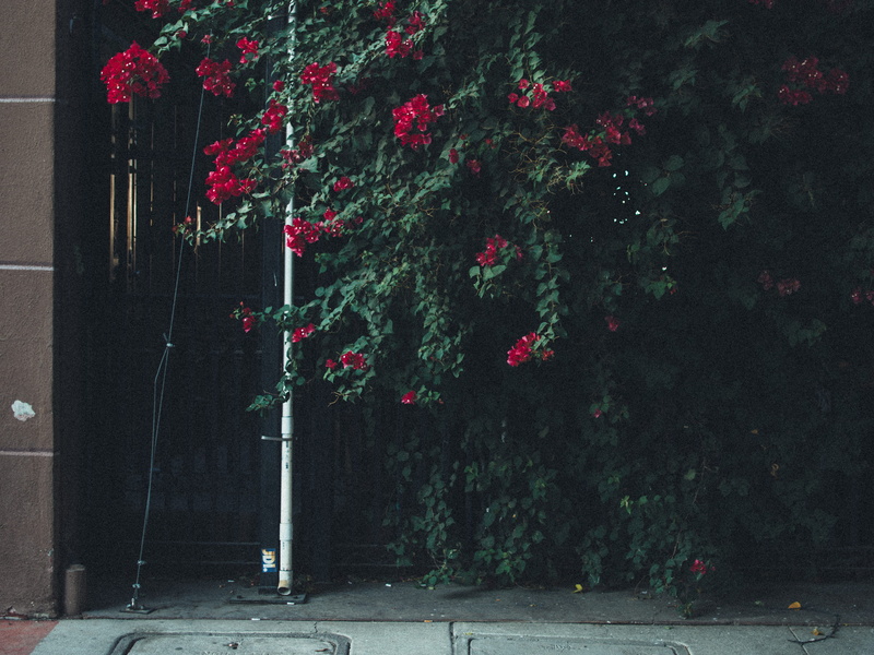 porch, arbour, suit, wall, street, no people, outdoors, coat, decoration, lighting equipment, apparel, pergola, gate, clothing, tree trunk, building exterior