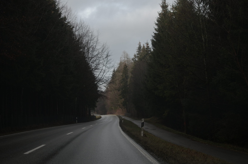 treelined, direction, apparel, symbol, tree, marking, woods, no people, conifer, day, sleeve, 4K, long sleeve, vanishing point, fir, pine, sign, europe