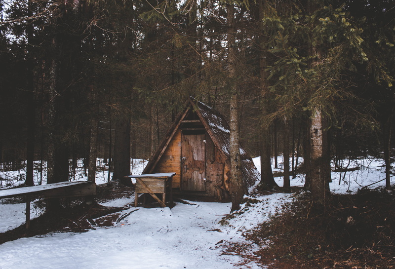 forest, house, barn, tranquility, field, woods, covering, day, abandoned, winter, wood - material, beauty in nature, cold temperature, brown, daytime, trees