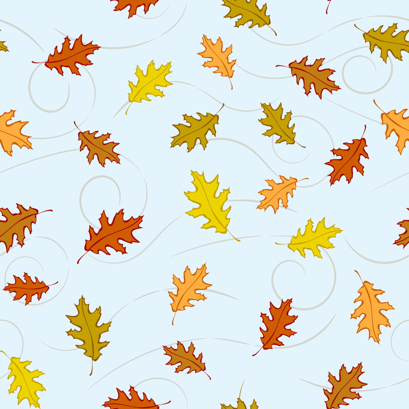 patterns, no people, animal themes, close-up, 2K, nature, pattern, leaf, food and drink, art and craft, plant part, plant, invertebrate, group of objects