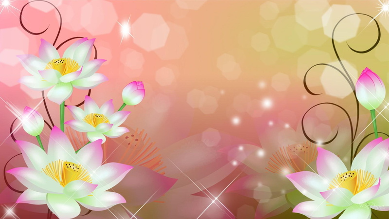 flowers, pink, lilies, abstract, lily, plant, simple, 3d and abstract, green, 1080P