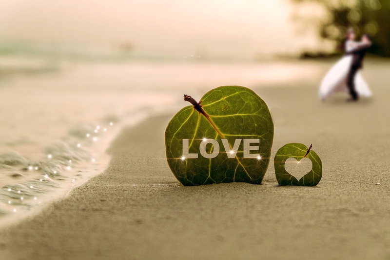 surface level, yao guang, flash, girls, ball, island, sport, wave, leaf, day, sea, green, couples, nature, focus on foreground, finance, 1080P, selective focus