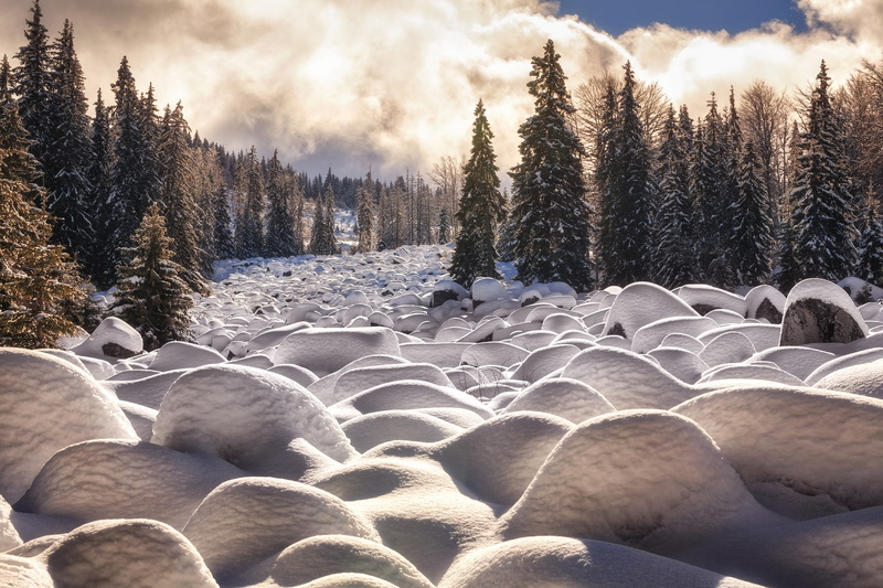 mountain range, snow, Bulgaria, Vitosha, the sun, the snow, forest, 1080P