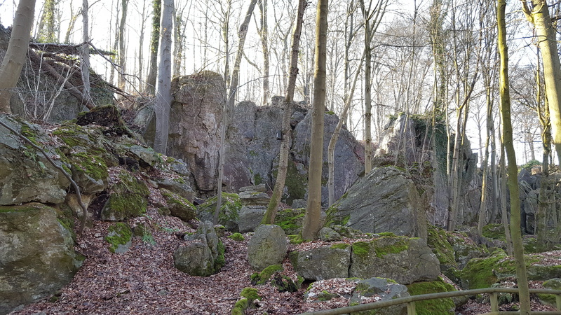 tree trunk, on the go, grave, of course, trunk, formation, land, Stones, bare tree, woodland, non-urban scene, growth, idyllic, tranquil scene, weave, mountains