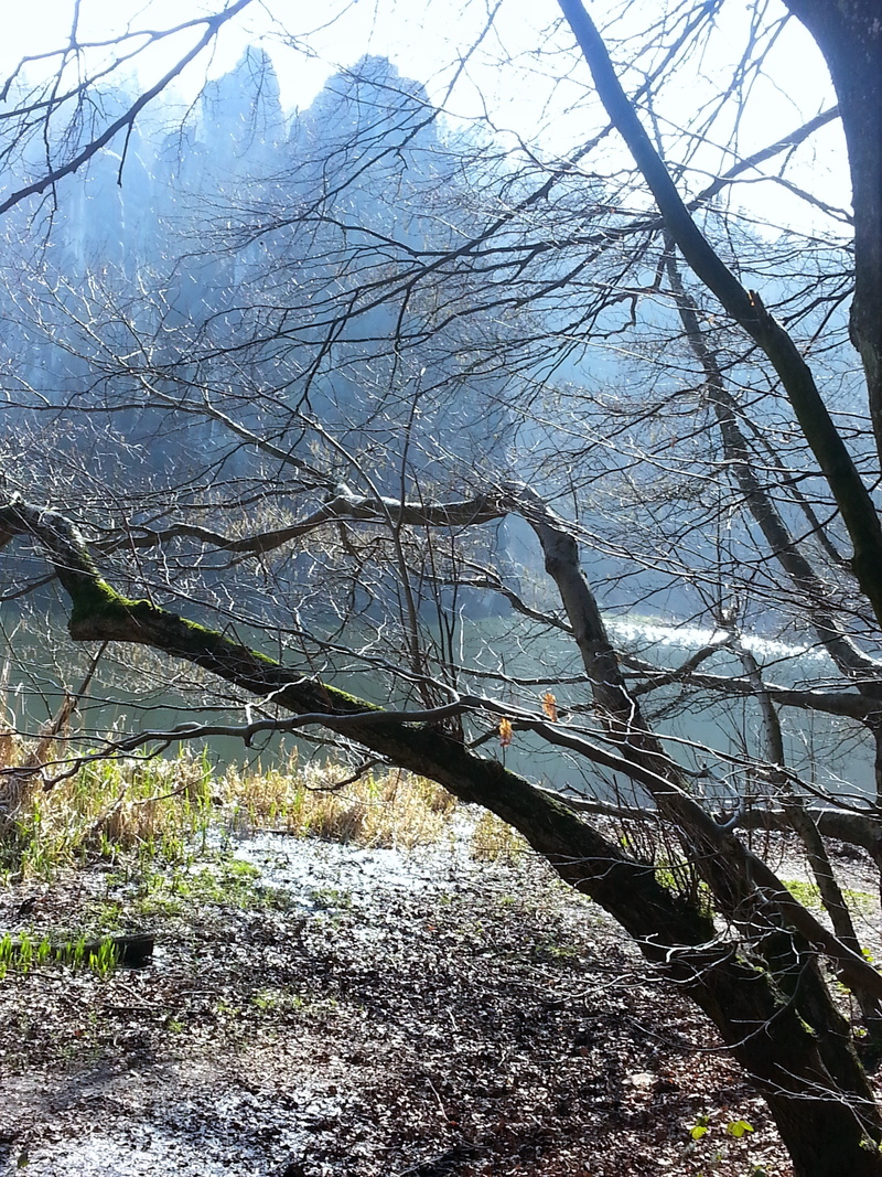 tree, teutoburg forest, outdoors, lake, forest, trees, monolithes, beauty in nature, land, pond, plant, tranquil scene, sacred, stones, mystical, mountains