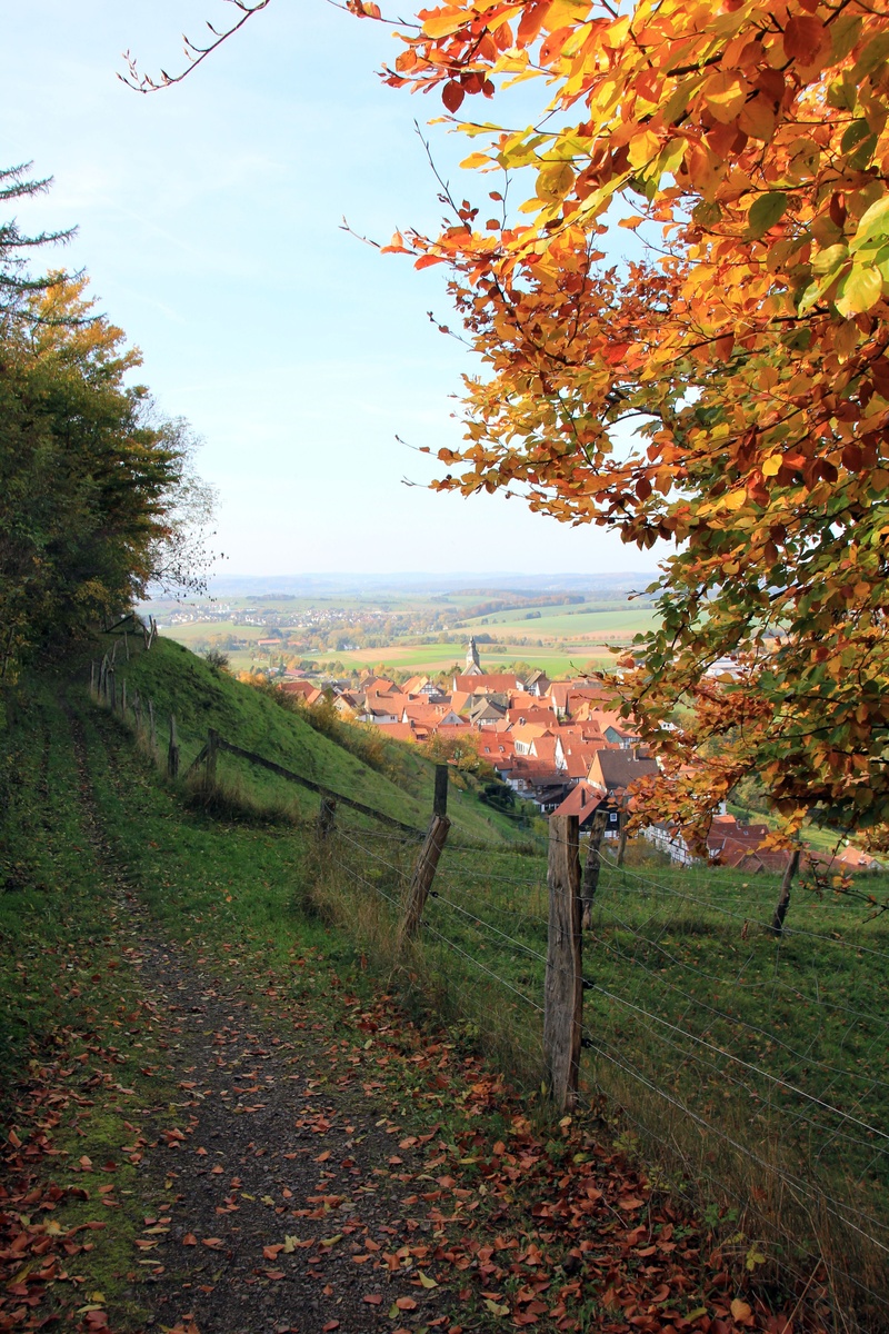 nature, change, fall, plant, growth, schwalenberg, away, field, sky, beauty in nature, tranquil scene, plant part, land, 5K, fence, count views, leaves