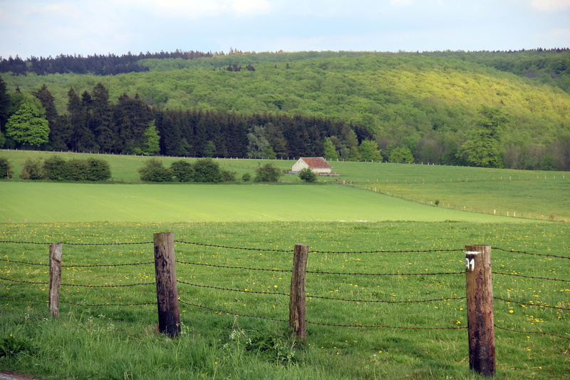 landscape, beauty in nature, field, wooden post, forest, scenics - nature, tree, agriculture, 5K, outdoors, day, rural Scene, summer, plant, land, tranquil scene