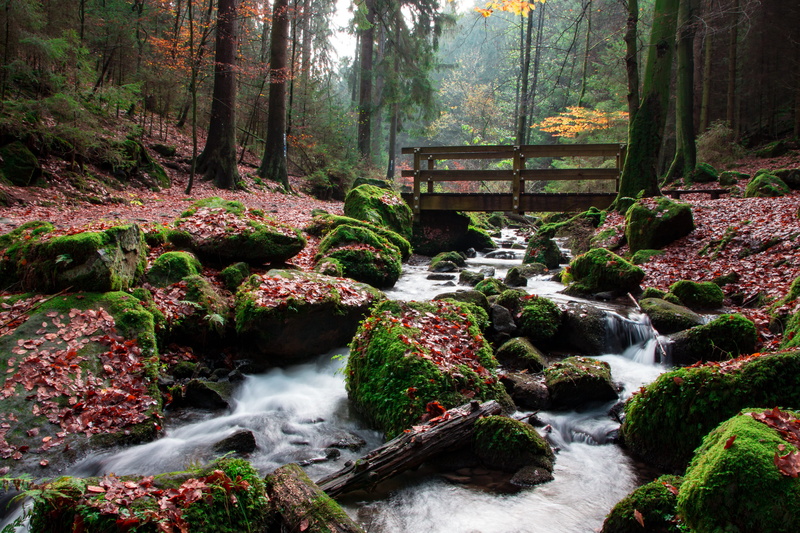 no people, bridge, outdoors, landscape, germany, lip, day, near, teutoburg forest, stones, growth, solid, water running, rainforest, 4K, plant, scenics - nature