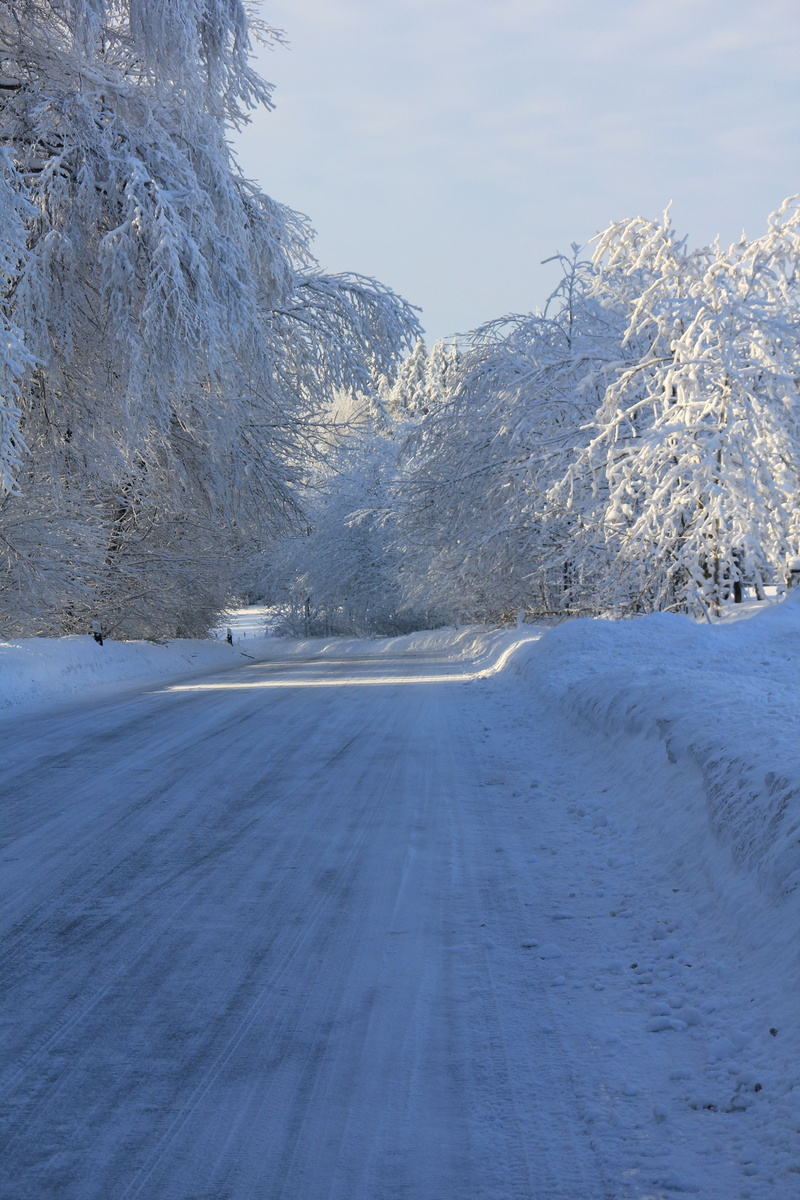 5K, trees, snow, season, transportation, frost, snowcapped mountain, forest, nature, tree, winter, cold temperature, tranquil scene, frozen, scenics, non-urban scene