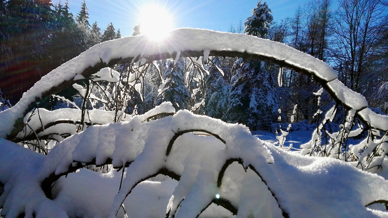 snowcapped mountain, day, cold temperature, teutoburg forest, cold, beauty in nature, white color, snow, sunny, tree, plant, lip, environment, nature, no people
