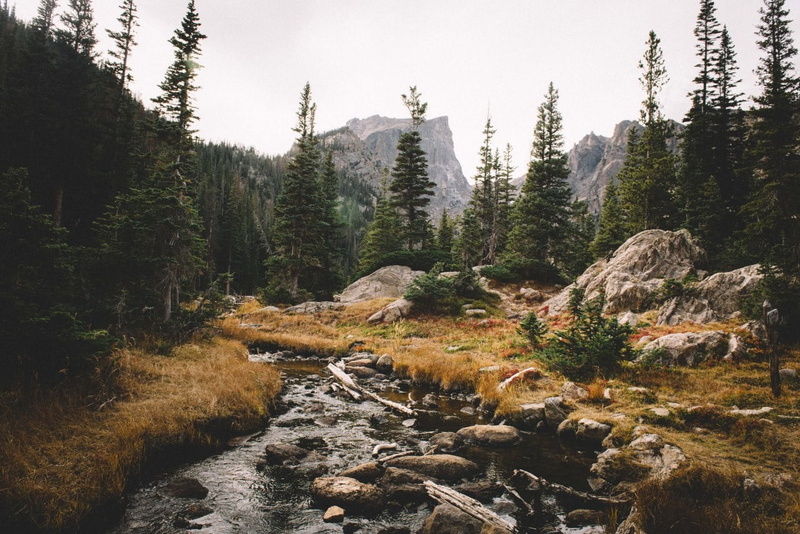 land, environment, forest, pine tree, scenics - nature, sky, solid, tree, growth, outdoors, no people, flowing water, coniferous tree, green, idyllic, woodland