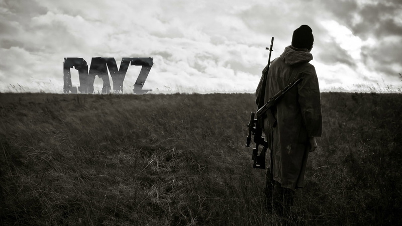 video games, 1080P, gun, hat, DayZ