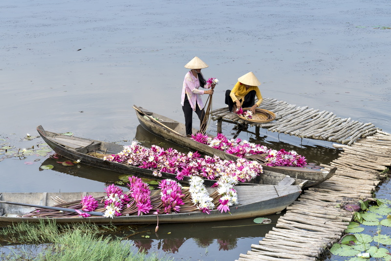 day, summer, river, landscape, brown, daylight, beautiful, recreation, lifestyles, mode of transportation, harvesting, women, men, watercrafts, traditional