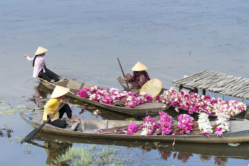 outdoors, high angle view, flowers, occupation, day, water, transportation, sitting, flowering plant, watercrafts, boats, nature, people, three, men, asian style conical hat