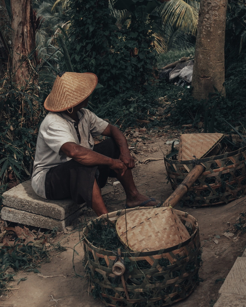 bali, tegalalang, 2K, old, basket, farmer, outdoors, human, day, travel, plant, tree, lifestyles, asian style conical hat, tanned, wicker, men, occupation