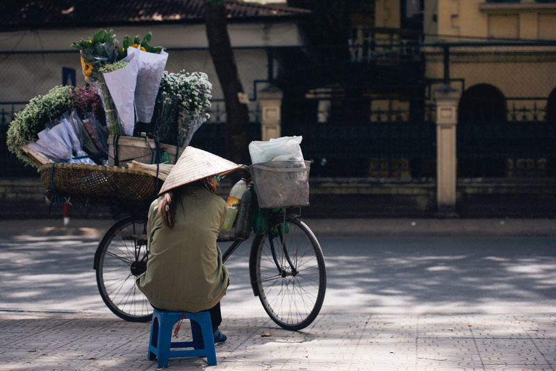 land vehicle, street, sitting, 1080P, transportation, bicycle, lifestyles, built structure, one person, occupation, flowers, mode of transportation, seller