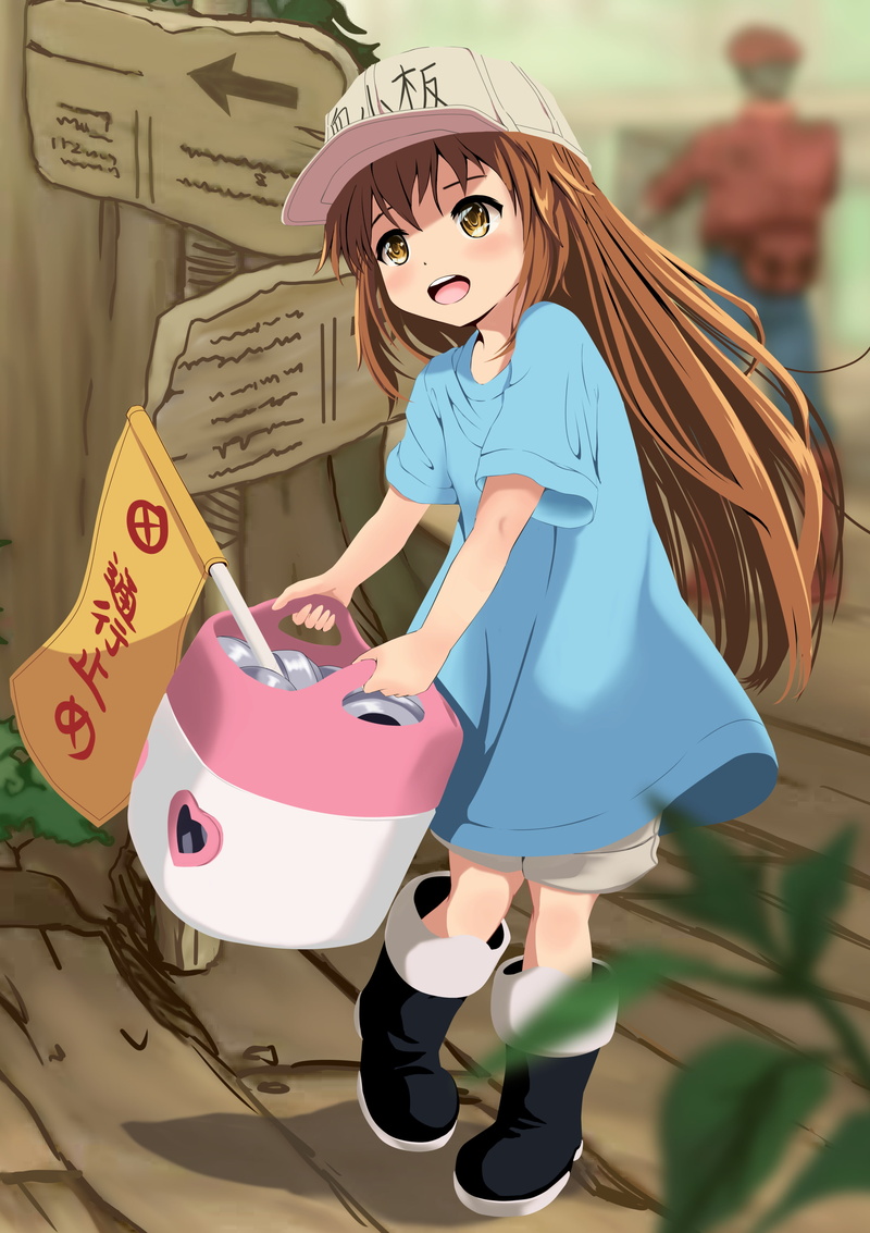 2K, hataraku saibou, platelet, Anime