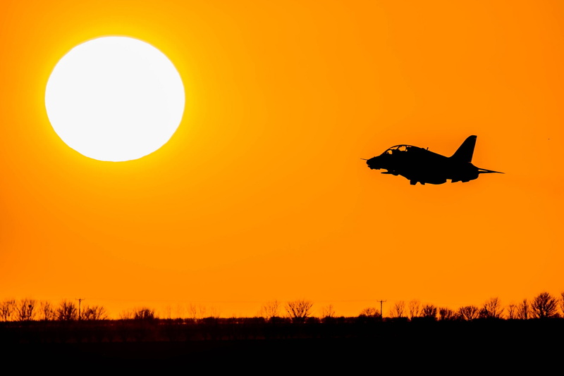 animal themes, silhouette, sunset, flying, aeroplane, jet, bird, RAF, sun, outdoors, vertebrate, orange color, 1080P, one animal, no people, animals in the wild