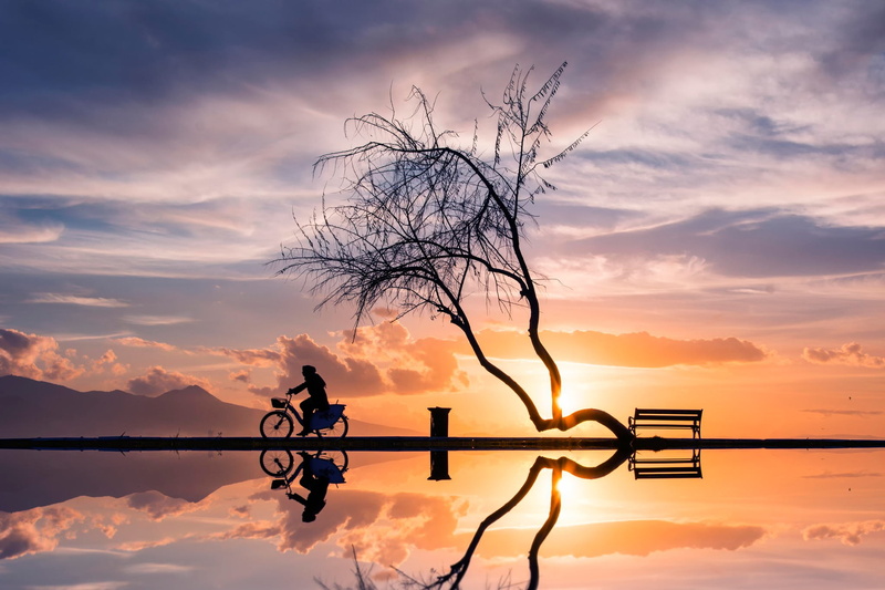 women, Sunset, bycicle, woman, silhouettes, reflection, bicycle, 1080P, tree