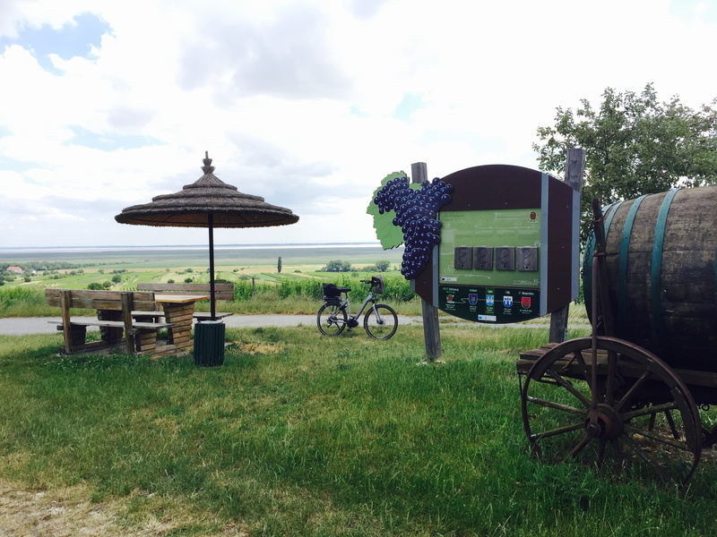 absence, sky, oostenrijk, ebike, tranquility, wine, day, grass, cart, tree, 2K, wheel, bycicle, oggau am neusiedler see, mode of transportation, transportation