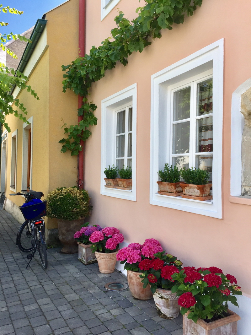outdoors, houseplant, 2K, flowering plant, built structure, house, ebiketour, no people, freshness, ebike, flower pot, residential district, bycicle, potted plant