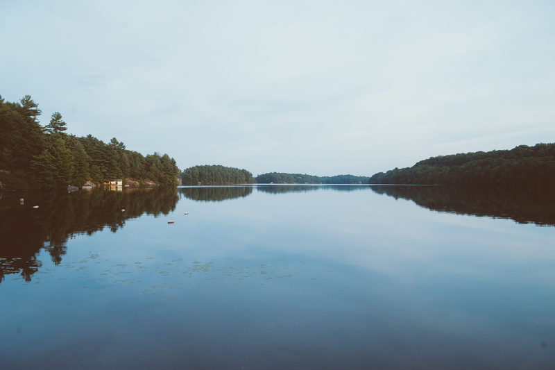 tranquil scene, mirror, scenics - nature, 5K, plant, trees, peaceful, calm, waterfront, sky, canada, nature, relax, muskoka, cottage, outdoors, no people