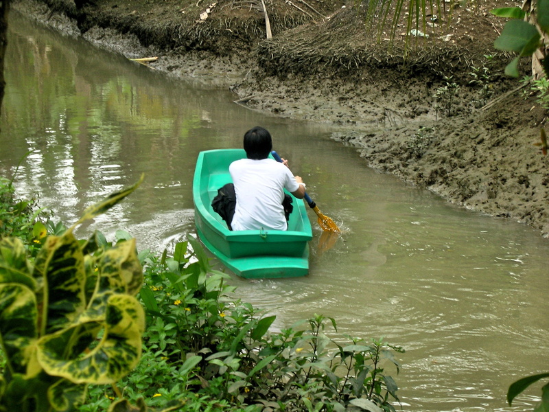 cancel, real people, plant, day, beauty in nature, one person, outdoors, floating on water, nature, water, men, lake, nautical vessel, boat, lifestyles