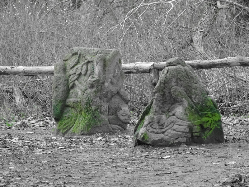 canceled, plant, force of nature, field, tree trunk, forest, wood - material, damage, non-urban scene, trees, storm damage, wood, nature, growth, overturned