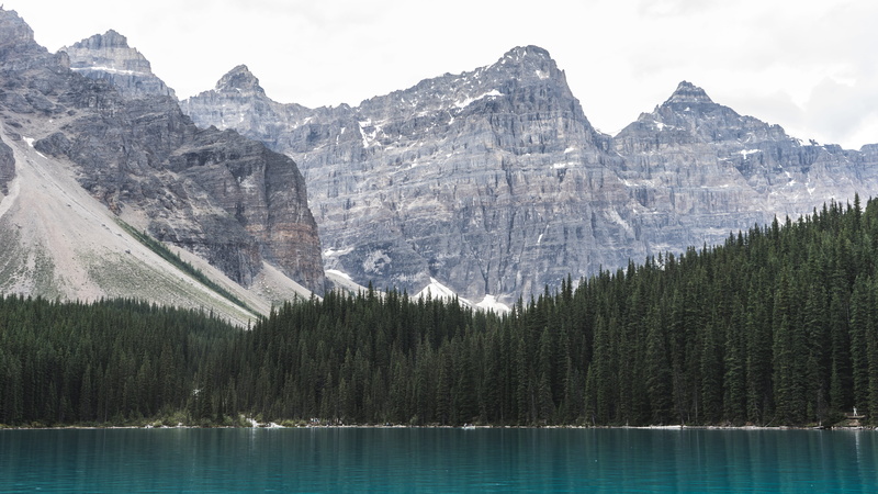 daytime, forest, pine trees, water, color Image, beside, waterfront, national Park, mountain, pine tree, scenics, tree, lake, formation, pine, range, nature