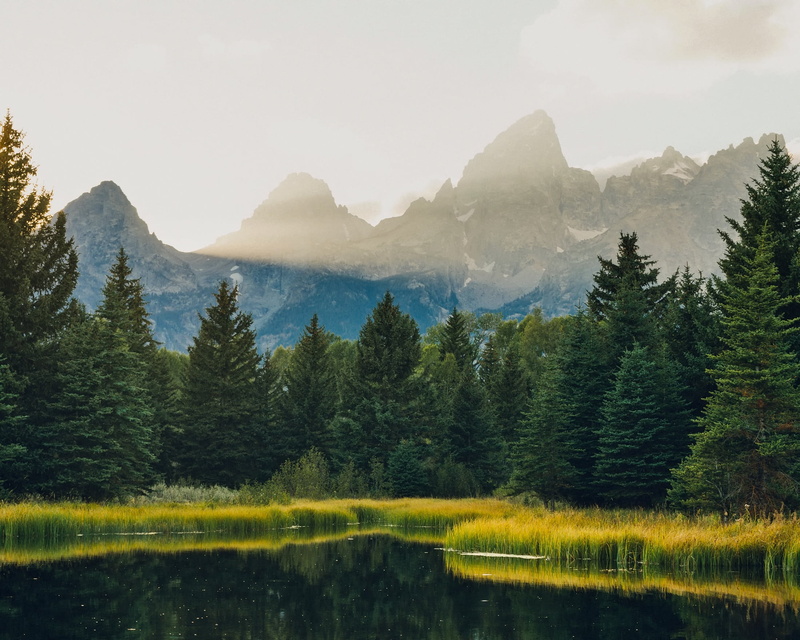 beauty in nature, outdoors, landscape, daytime, country, clear, water, mountains, tranquility, wilderness, mountain range, non-urban scene, tree, tranquil scene
