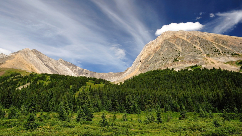 mountains, trees, land, sky, landscape, travel, pine trees, beauty in nature, forest, white, tranquility, mountain peak, concrete, mountain, cloud - sky