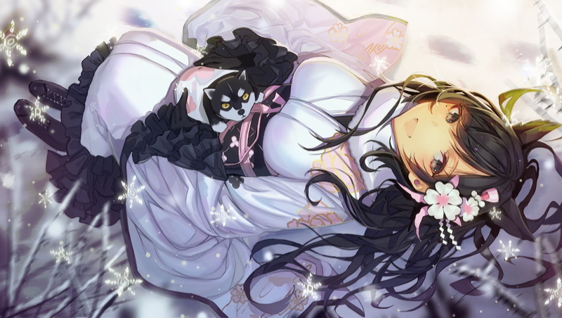 high angle view, Azur Lane, indoors, Anime, flowering plant, nature, Atago (Azur Lane), art and craft, close-up, event, still life, no people, celebration
