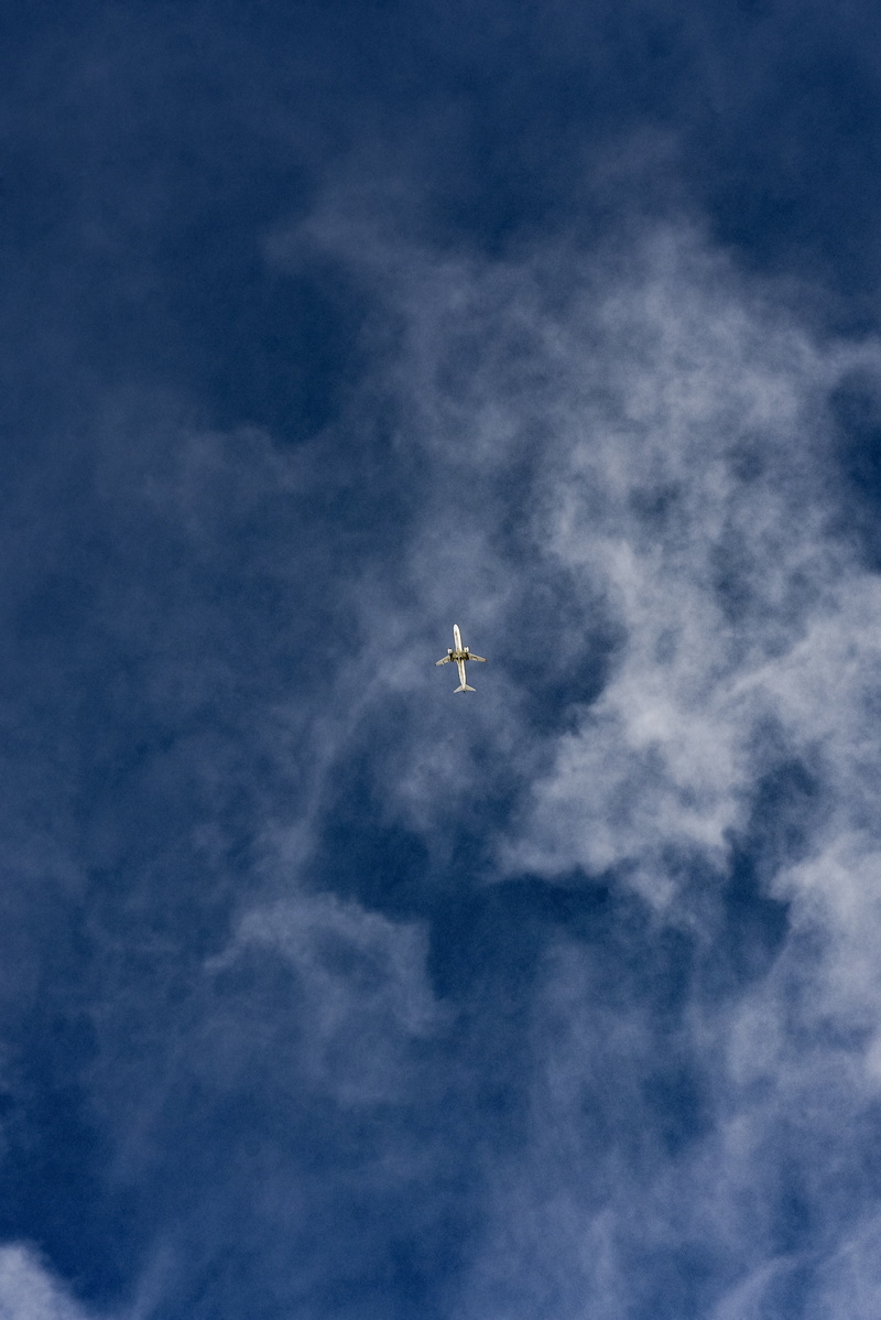 beauty in nature, cloud - Sky, aircraft Wing, clouds, transportation, animal themes, commercial Airplane, mid-air, outdoors, no people, bottom view, 5K