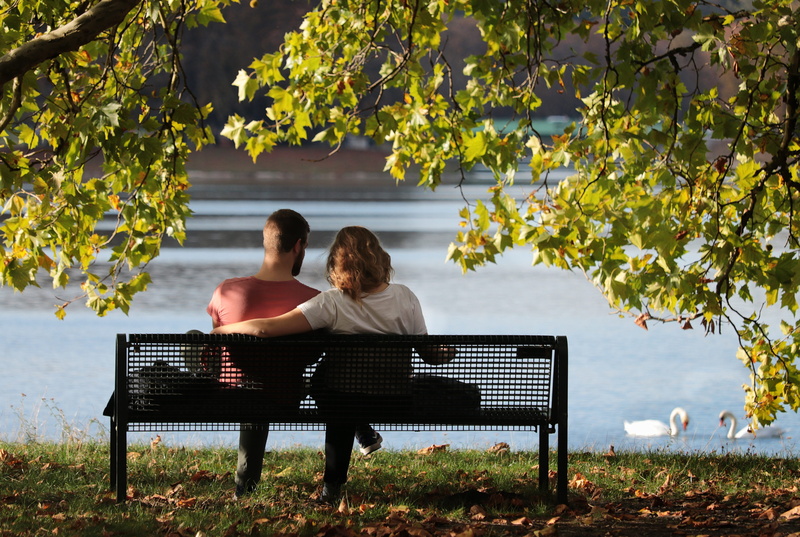 sitting, adult, happy, two people, outdoors, rear view, bonding, bench, man, women, arm around, swans, romantic, woman, couple - relationship, 5K, dormant