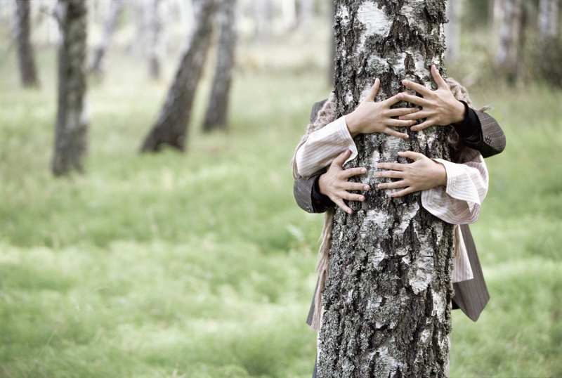 beauty In Nature, one Person, environmental conservation, forest, birch, autumn, love, women, adult, people, focus on foreground, embracing, season, leaf