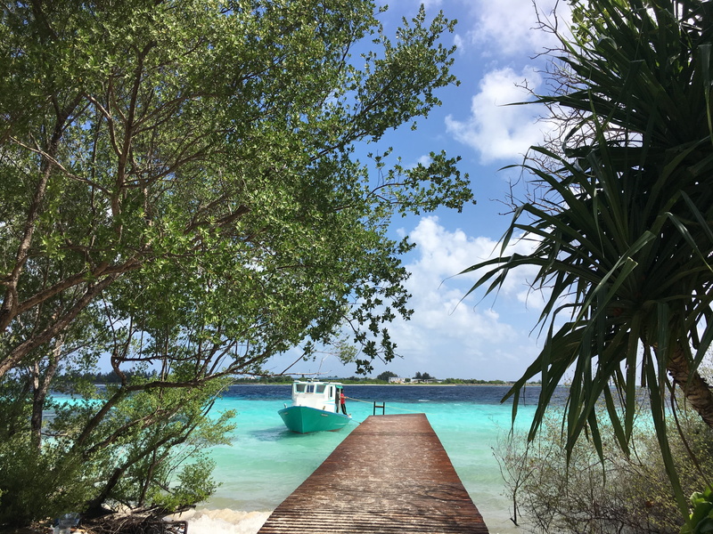 plant, day, tranquil scene, aa hinnavaru magu, transportation, water, sea, mode of transportation, 4K, scenics - nature, hinnavaru, cloud - sky, maldives