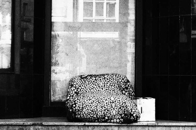 no people, home interior, ., cat, animal themes, blackandwhite, vitoria, entrance, someones home, moment, domestic animals, mammal, window, 5K, capture