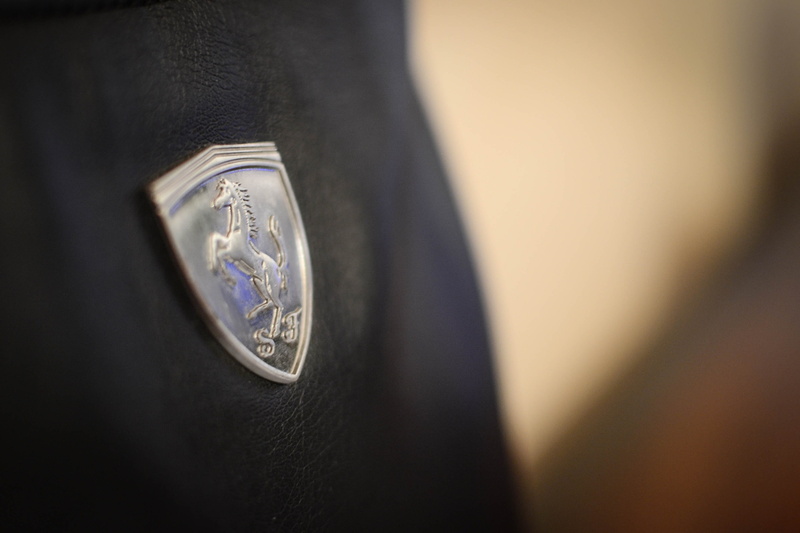 still life, close-up, single object, icon, economy, indoors, automotive, automobile, number, symbol, luxury, business, safety, horse, ferrari, luxury car