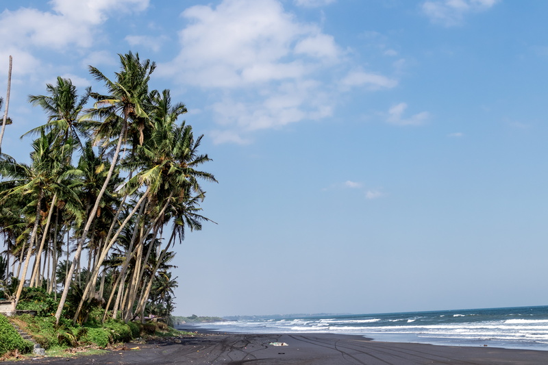 tropical climate, daytime, sand, outdoors, leaves, coastline, waves, coconut trees, day, tree, carribean, sky, land, coast, water, seascape, horizon, tropical
