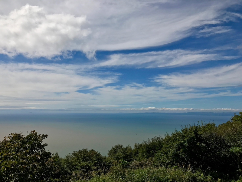 water, outdoors, scenics - nature, yahiko, horizon, plant, day, tree, forest, cloud - sky, growth, horizon over water, 4K, sky, no people, sea, nature