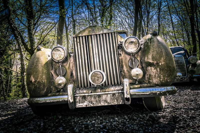 ruined, obsolete, plant, old, car, abandoned, metal, Oldtimer, land, mode of transportation, no people, tree, deterioration, outdoors, bad condition, 2K