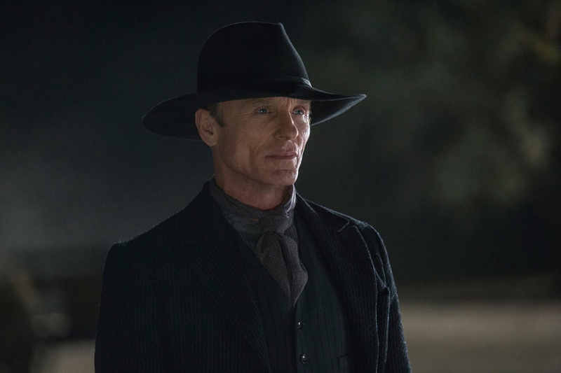 human face, emotion, black color, 1080P, Westworld, serious, males, portrait, adult, hat, headshot, men, looking at camera, lifestyles, looking, TV Show
