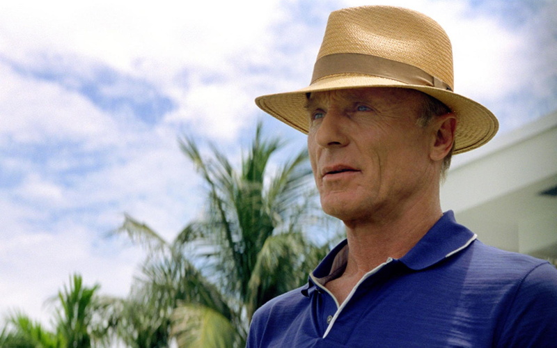 Movie, Pain and Gain, 1080P, Ed Harris, Ed Dubois